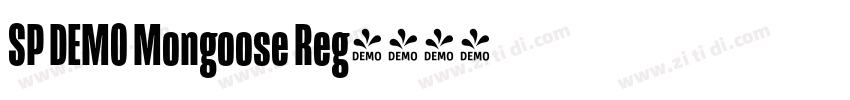 SP DEMO Mongoose Reg字体转换